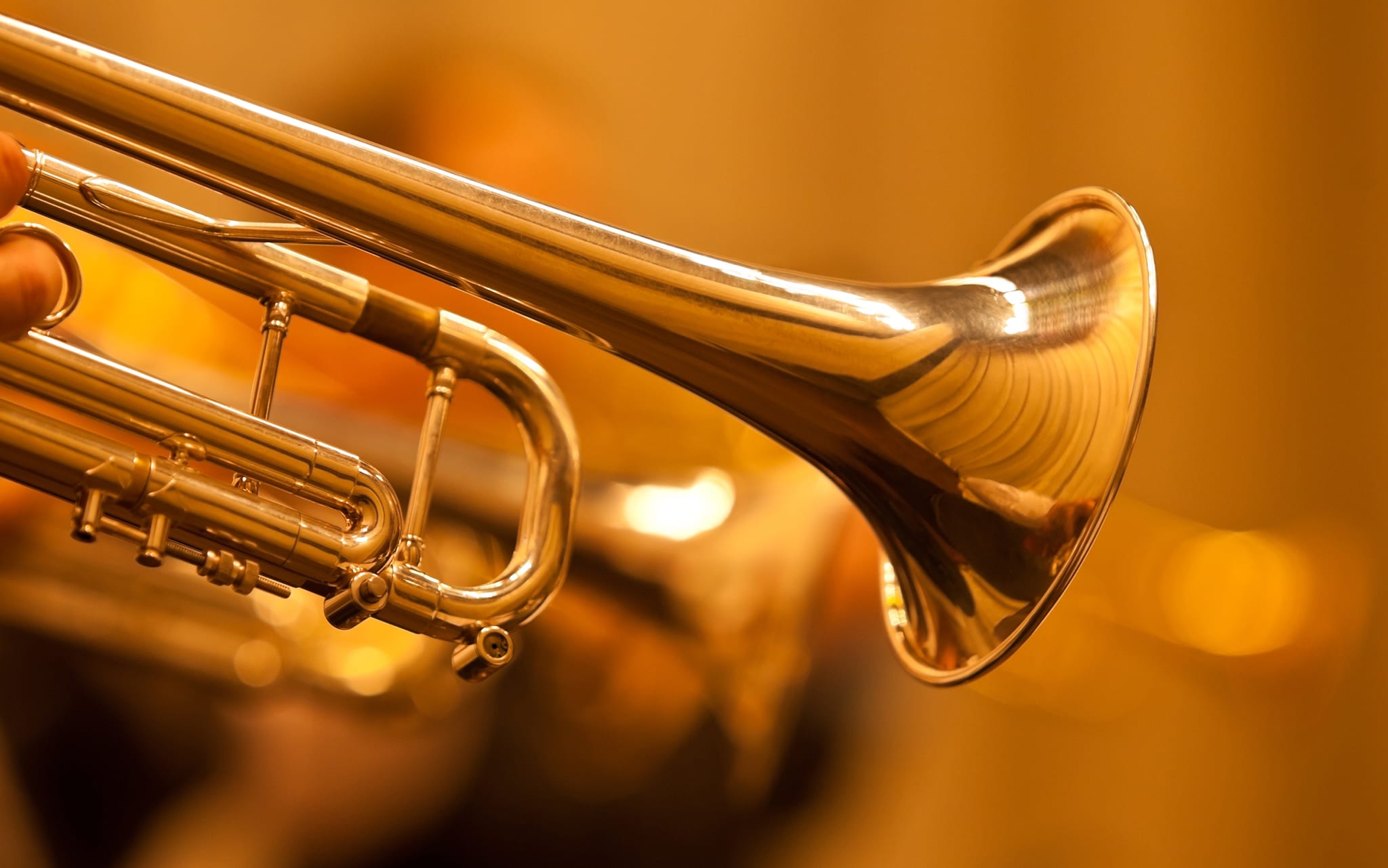 Music Equipment RamZs Emporium Lafayette, Indiana